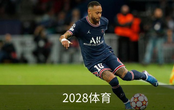 2028体育简介